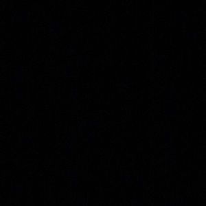 Meet your Posher, Gavin